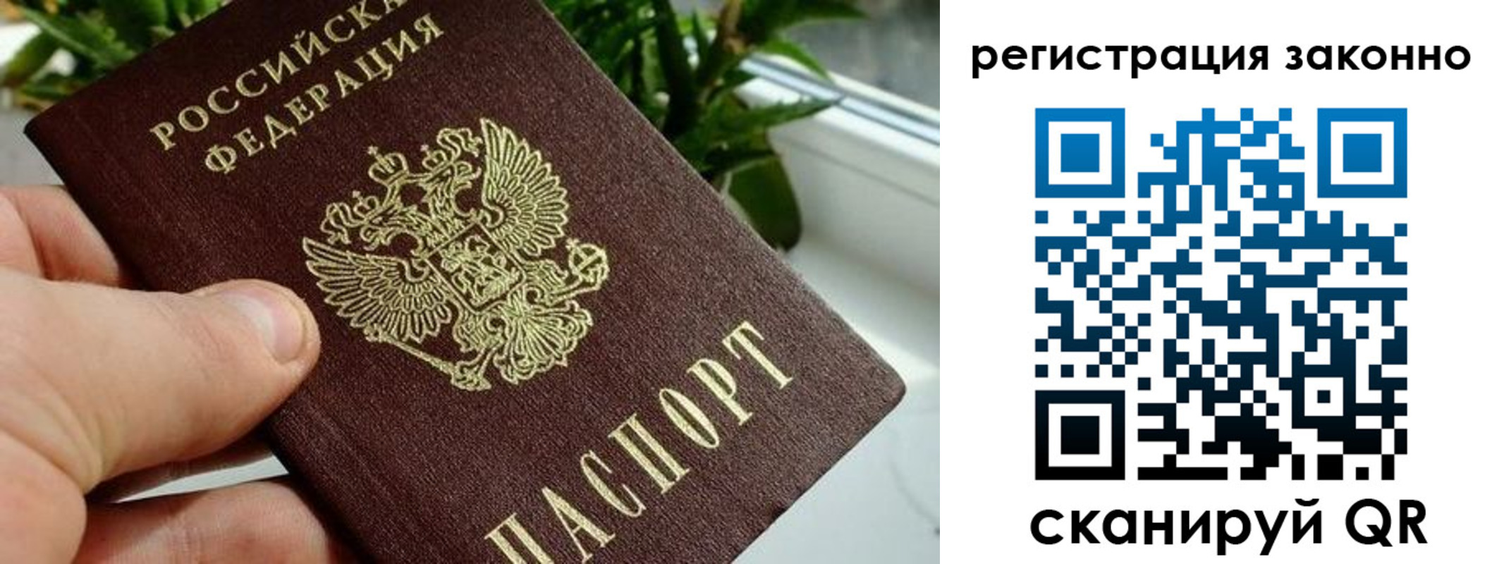 прописка гарантия в Саранске